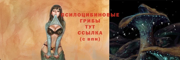 хмурый Алексеевка