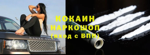 хмурый Алексеевка