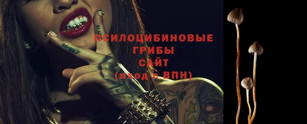 прущая мука Сафоново