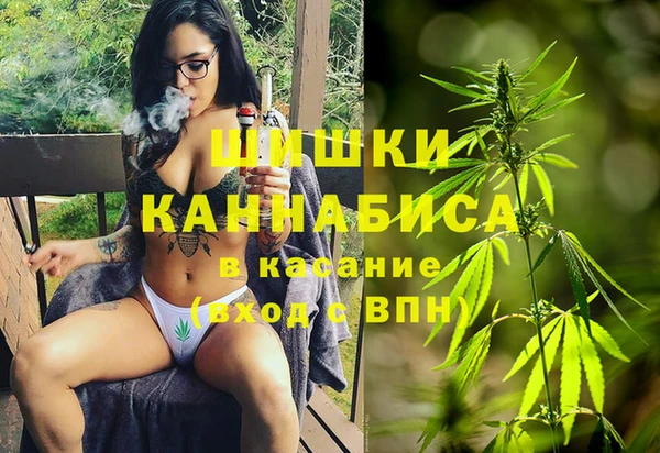 хмурый Алексеевка