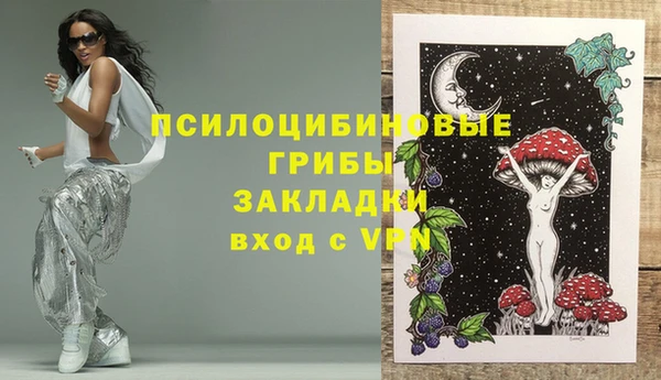 a pvp Алзамай